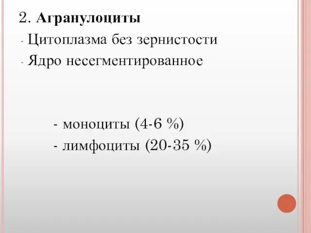 2. Агранулоциты Цитоплазма без зернистости Ядро несегментированное - моноциты (4-6 %) - лимфоциты (20-35 %)