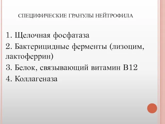 СПЕЦИФИЧЕСКИЕ ГРАНУЛЫ НЕЙТРОФИЛА 1. Щелочная фосфатаза 2. Бактерицидные ферменты (лизоцим, лактоферрин) 3.