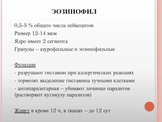 ЭОЗИНОФИЛ 0,5-5 % общего числа лейкоцитов Размер 12-14 мкм Ядро имеет 2