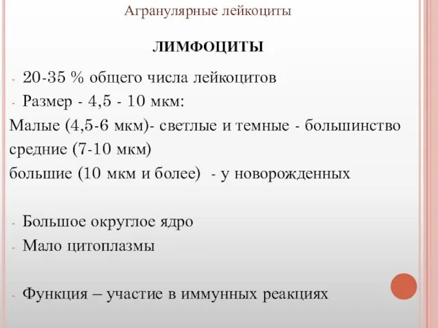 Агранулярные лейкоциты ЛИМФОЦИТЫ 20-35 % общего числа лейкоцитов Размер - 4,5 -