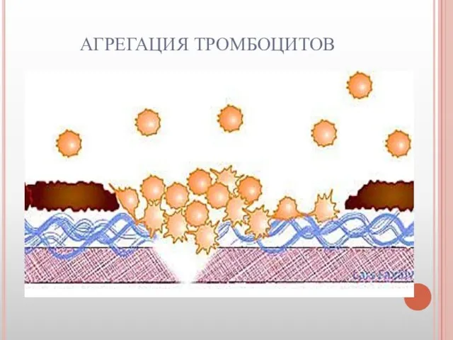 АГРЕГАЦИЯ ТРОМБОЦИТОВ