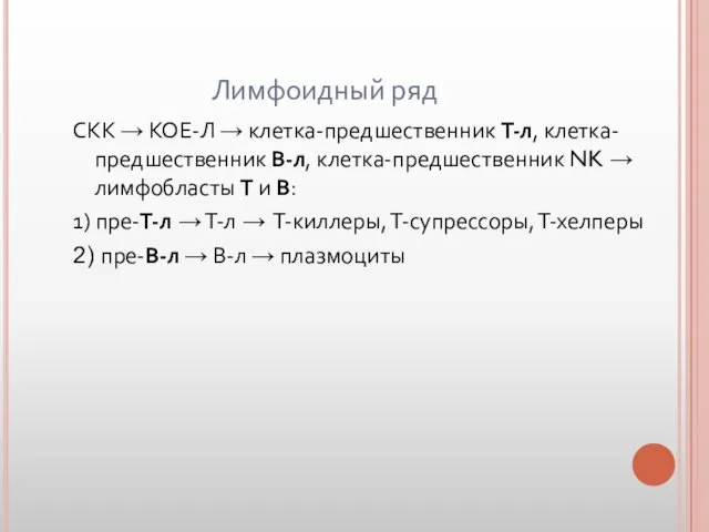 Лимфоидный ряд СКК → КОЕ-Л → клетка-предшественник Т-л, клетка-предшественник В-л, клетка-предшественник NK