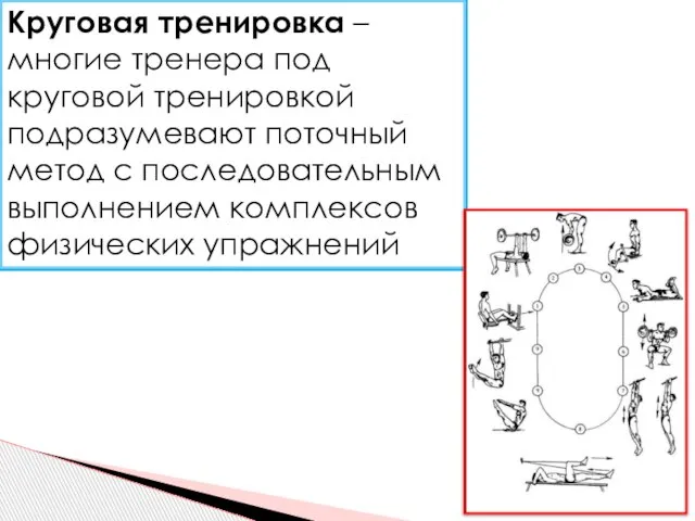 Круговая тренировка – многие тренера под круговой тренировкой подразумевают поточный метод с