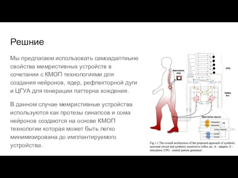 Решние Мы предлагаем использовать самоадаптиыне свойства мемристивных устройств в сочетании с КМОП