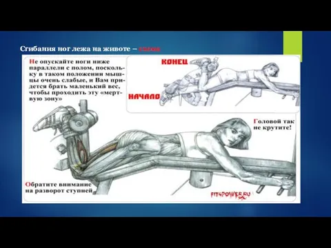 Сгибания ног лежа на животе – схема