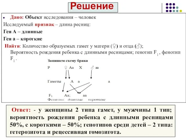 Решение Дано: Объект исследования – человек Исследуемый признак – длина ресниц: Ген