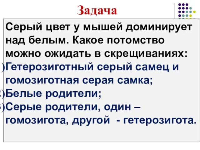 Серый цвет у мышей доминирует над белым. Какое потомство можно ожидать в