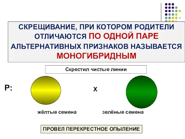 СКРЕЩИВАНИЕ, ПРИ КОТОРОМ РОДИТЕЛИ ОТЛИЧАЮТСЯ ПО ОДНОЙ ПАРЕ АЛЬТЕРНАТИВНЫХ ПРИЗНАКОВ НАЗЫВАЕТСЯ МОНОГИБРИДНЫМ