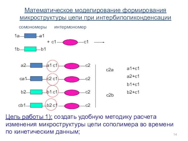 c2a c2b сомономеры интермономер a1+c1 a2+c1 b1+c1 b2+c1 + Математическое моделирование формирования
