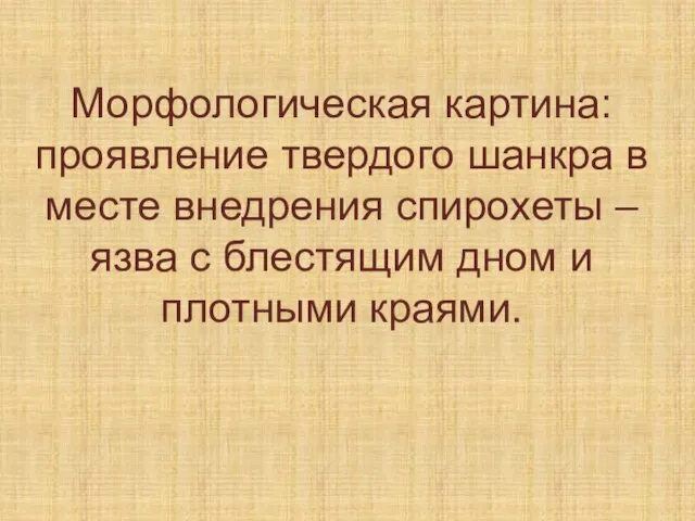 Морфологическая картина: проявление твердого шанкра в месте внедрения спирохеты – язва с