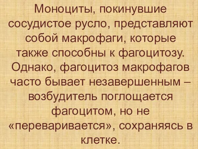 Моноциты, покинувшие сосудистое русло, представляют собой макрофаги, которые также способны к фагоцитозу.