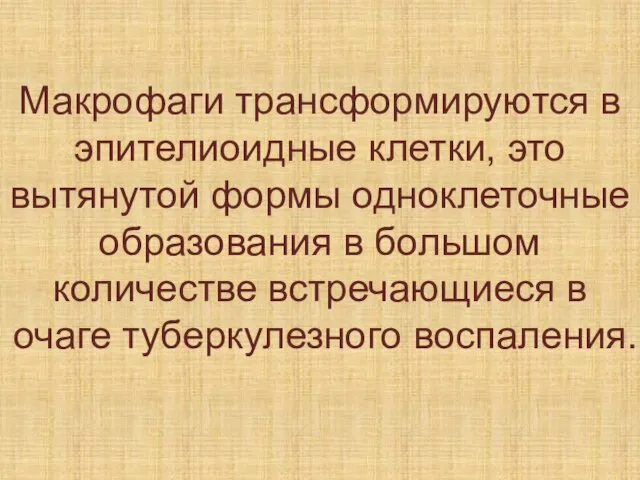 Макрофаги трансформируются в эпителиоидные клетки, это вытянутой формы одноклеточные образования в большом