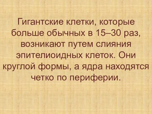 Гигантские клетки, которые больше обычных в 15–30 раз, возникают путем слияния эпителиоидных