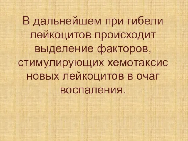 В дальнейшем при гибели лейкоцитов происходит выделение факторов, стимулирующих хемотаксис новых лейкоцитов в очаг воспаления.