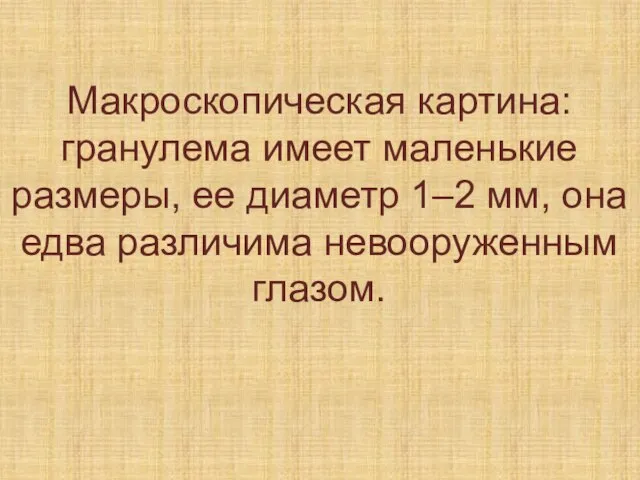 Макроскопическая картина: гранулема имеет маленькие размеры, ее диаметр 1–2 мм, она едва различима невооруженным глазом.