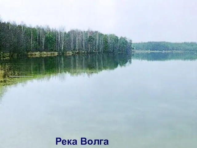 Река Волга