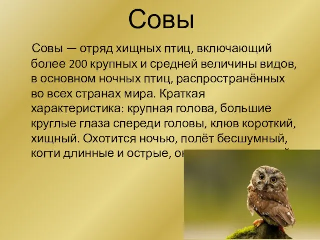 Совы Совы — отряд хищных птиц, включающий более 200 крупных и средней