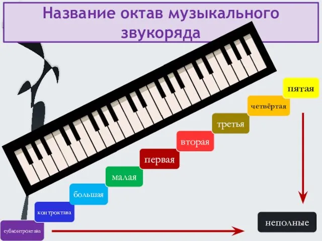 Название октав музыкального звукоряда