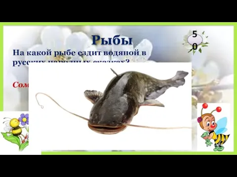 Сом На какой рыбе ездит водяной в русских народных сказках? 50 Рыбы