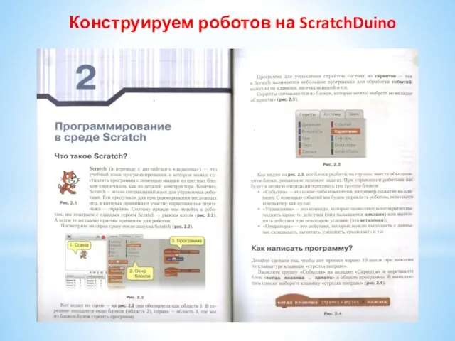 Конструируем роботов на ScratchDuino