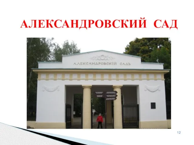 АЛЕКСАНДРОВСКИЙ САД 12