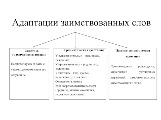 Адаптации заимствованных слов