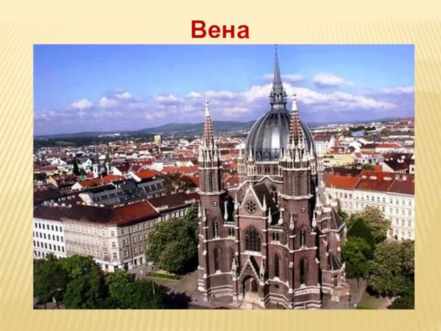 Вена