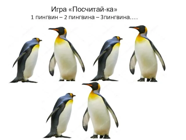 Игра «Посчитай-ка» 1 пингвин – 2 пингвина – 3пингвина….