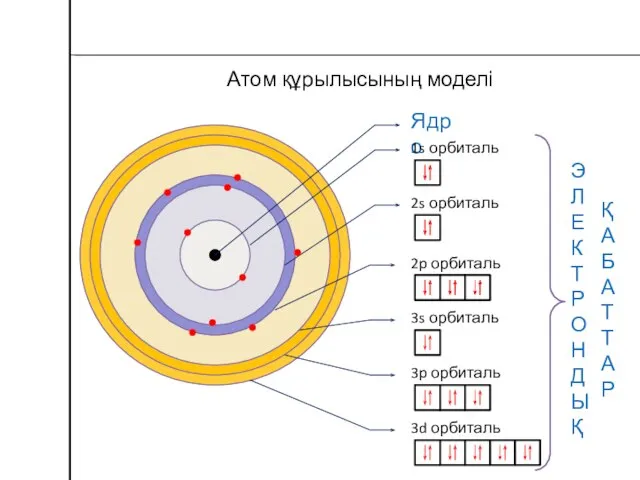 Атом құрылысының моделі Ядро 1s орбиталь 2s орбиталь 2p орбиталь 3s орбиталь