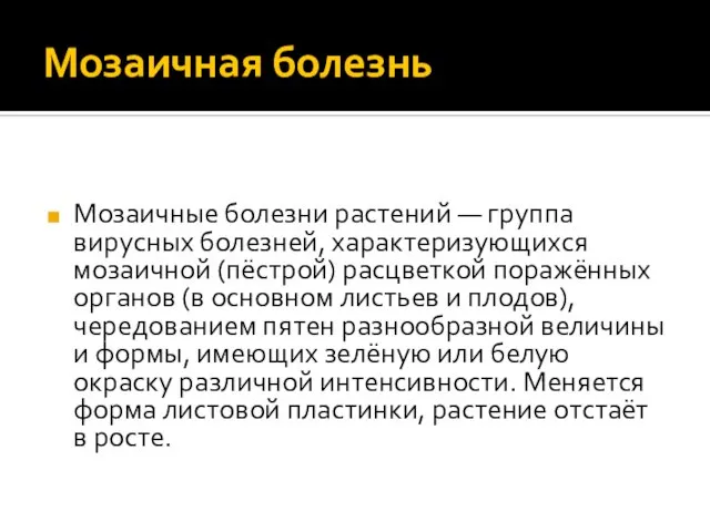 Мозаичная болезнь Мозаичные болезни растений — группа вирусных болезней, характеризующихся мозаичной (пёстрой)