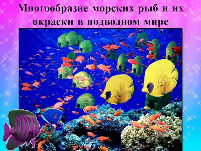 Многообразие морских рыб и их окраски в подводном мире