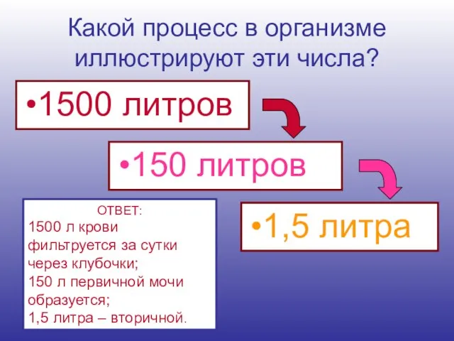 Какой процесс в организме иллюстрируют эти числа? 1500 литров 150 литров 1,5