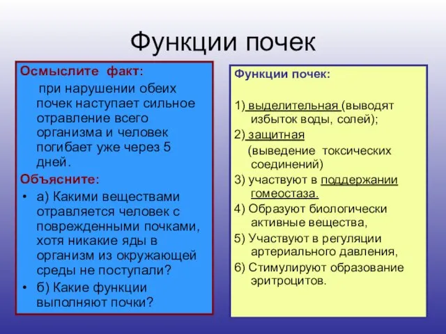 Функции почек Осмыслите факт: при нарушении обеих почек наступает сильное отравление всего