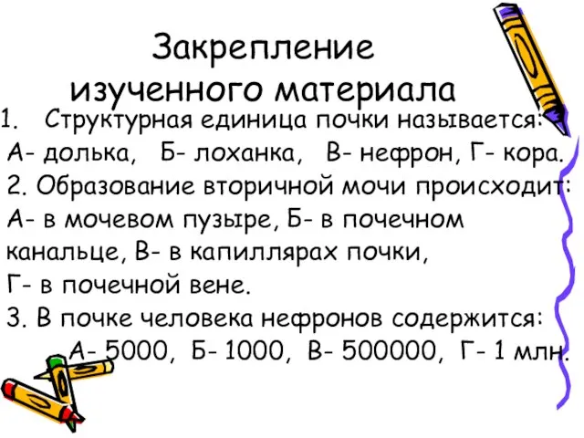 Закрепление изученного материала Структурная единица почки называется: А- долька, Б- лоханка, В-