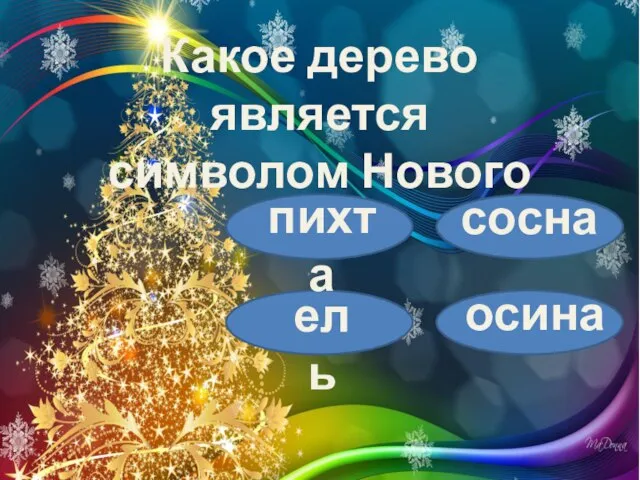 Какое дерево является символом Нового года? пихта сосна ель осина