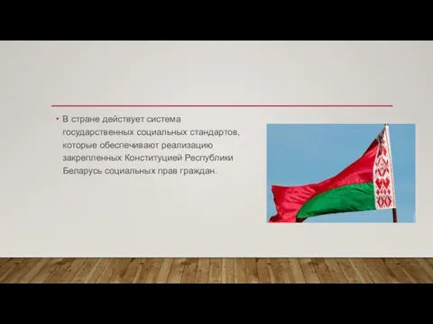 В стране действует система государственных социальных стандартов, которые обеспечивают реализацию закрепленных Конституцией