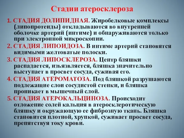 Стадии атеросклероза 1. СТАДИЯ ДОЛИПИДНАЯ. Жиробелковые комплексы (липопротеиды) откладываются во внутренней оболочке