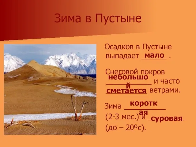 Зима в Пустыне Осадков в Пустыне выпадает ______ . Снеговой покров ___________