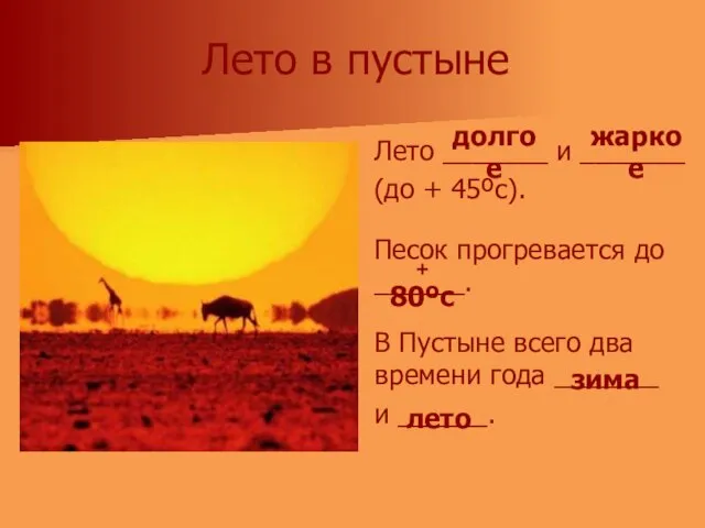 Лето в пустыне Лето _______ и _______ (до + 45ºс). Песок прогревается