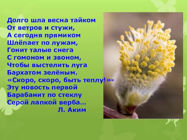 Долго шла весна тайком От ветров и стужи, А сегодня прямиком Шлёпает