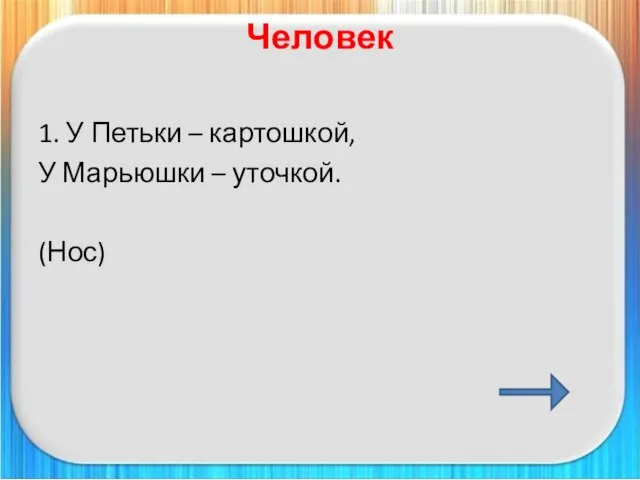 Человек 1. У Петьки – картошкой, У Марьюшки – уточкой. (Нос)