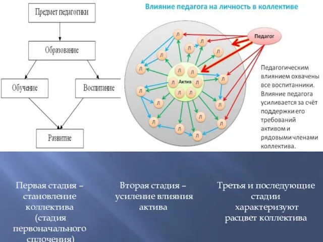 Первая стадия – становление коллектива (стадия первоначального сплочения) Вторая стадия – усиление