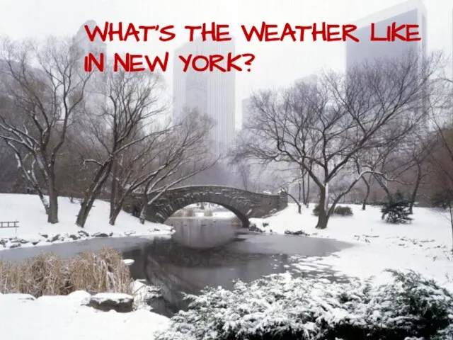 WHAT’S THE WEATHER LIKE IN NEW YORK?