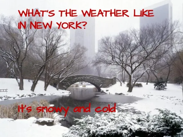 WHAT’S THE WEATHER LIKE IN NEW YORK? It’s snowy and cold