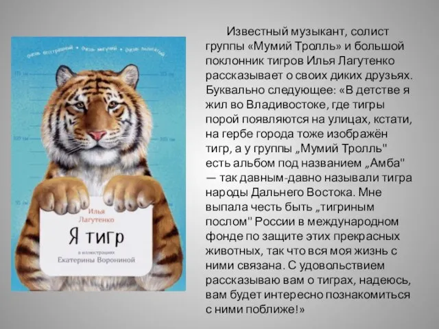Известный музыкант, солист группы «Мумий Тролль» и большой поклонник тигров Илья Лагутенко