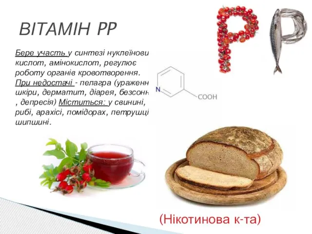 ВІТАМІН PP Бере участь у синтезі нуклеїнових кислот, амінокислот, регулює роботу органів