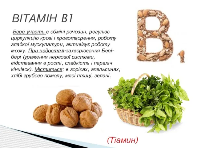 ВІТАМІН B1 Бере участь в обміні речовин, регулює циркуляцію крові і кровотворення,