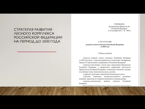 СТРАТЕГИЯ РАЗВИТИЯ ЛЕСНОГО КОМПЛЕКСА РОССИЙСКОЙ ФЕДЕРАЦИИ НА ПЕРИОД ДО 2030 ГОДА