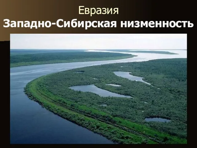 Евразия Западно-Сибирская низменность