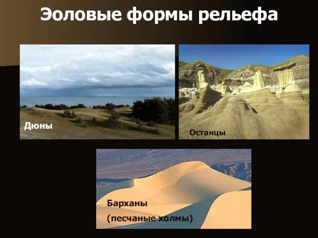 Эоловые формы рельефа Дюны Барханы (песчаные холмы) Останцы